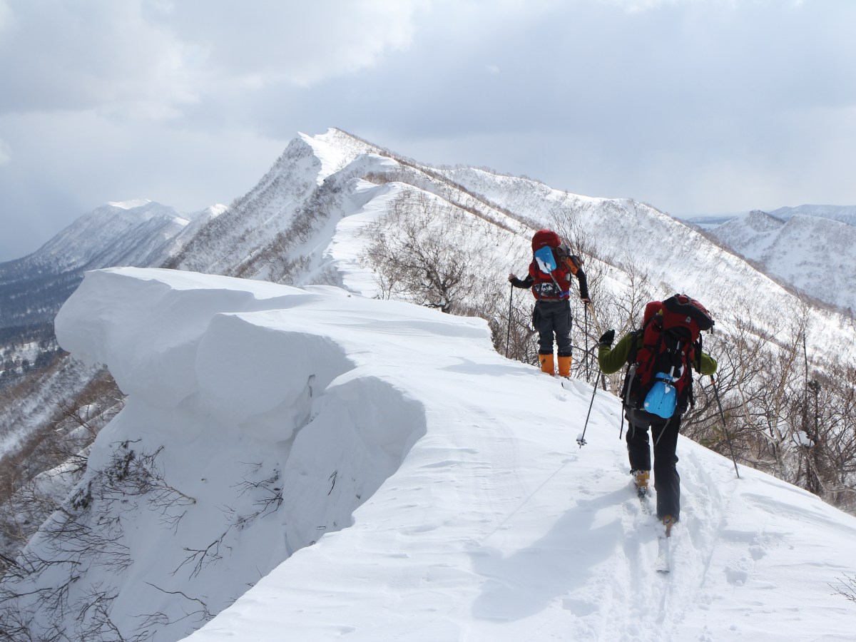 ЭУКАРИОТ ШРЕНКА