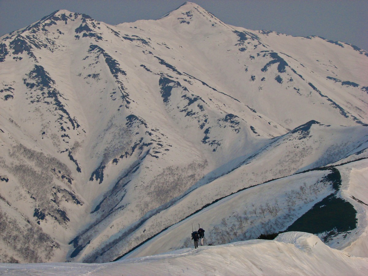 ВЫЛАЗКА 1-1-Ч-Ш-5